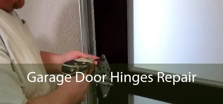 Garage Door Hinges Repair 