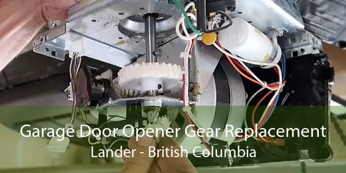 Garage Door Opener Gear Replacement Lander - British Columbia